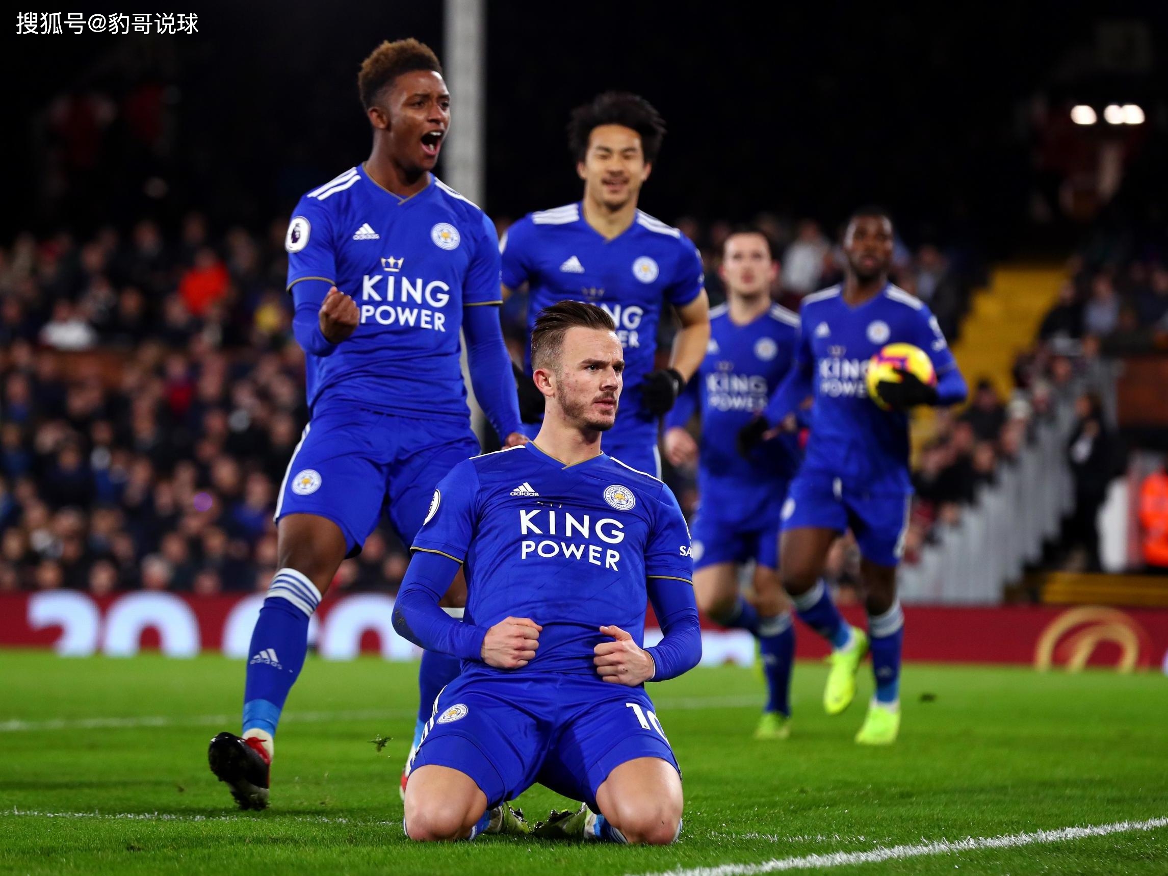 肋部保护 肋部保护